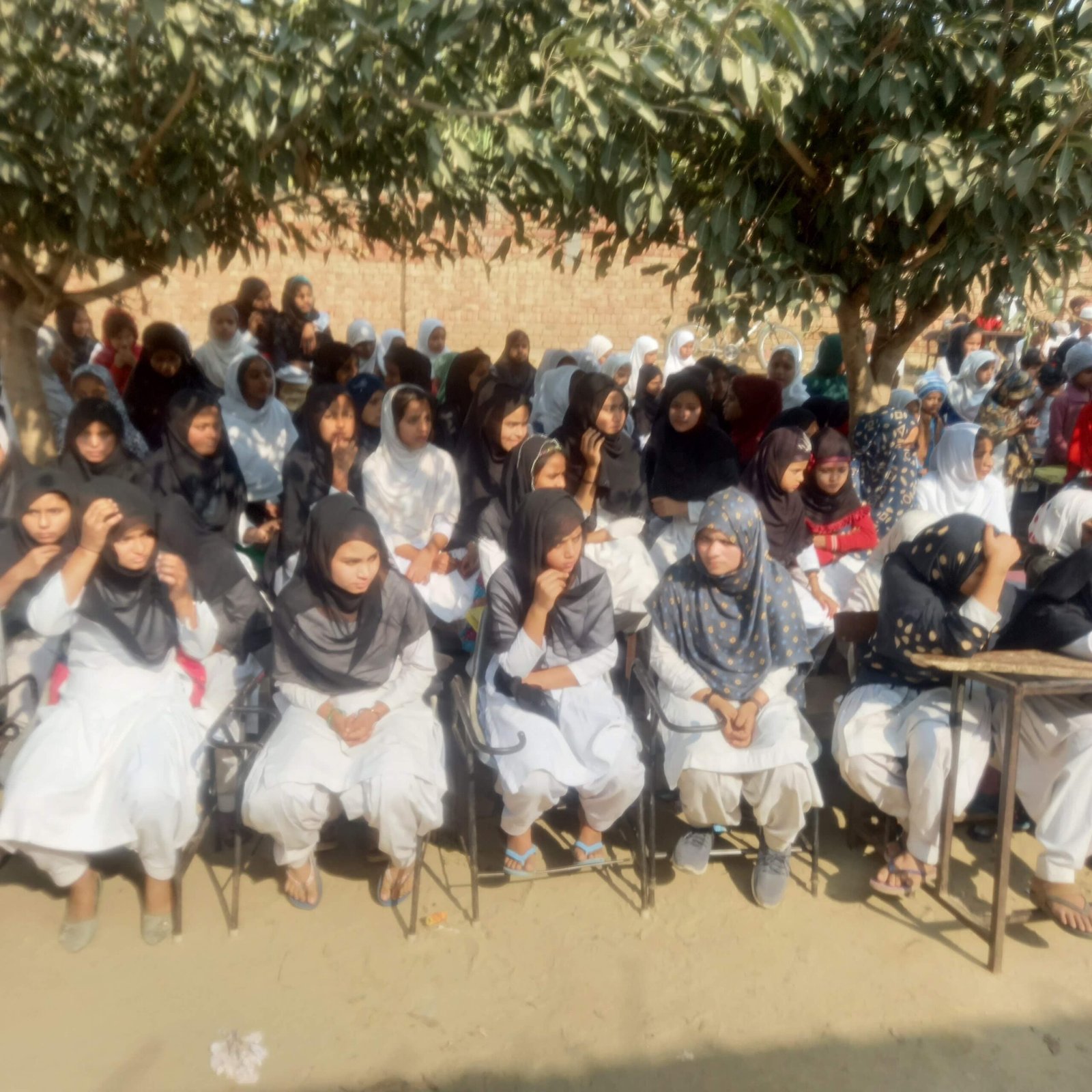 WhatsApp Image 2025-07-18 at 4.06.46 PM