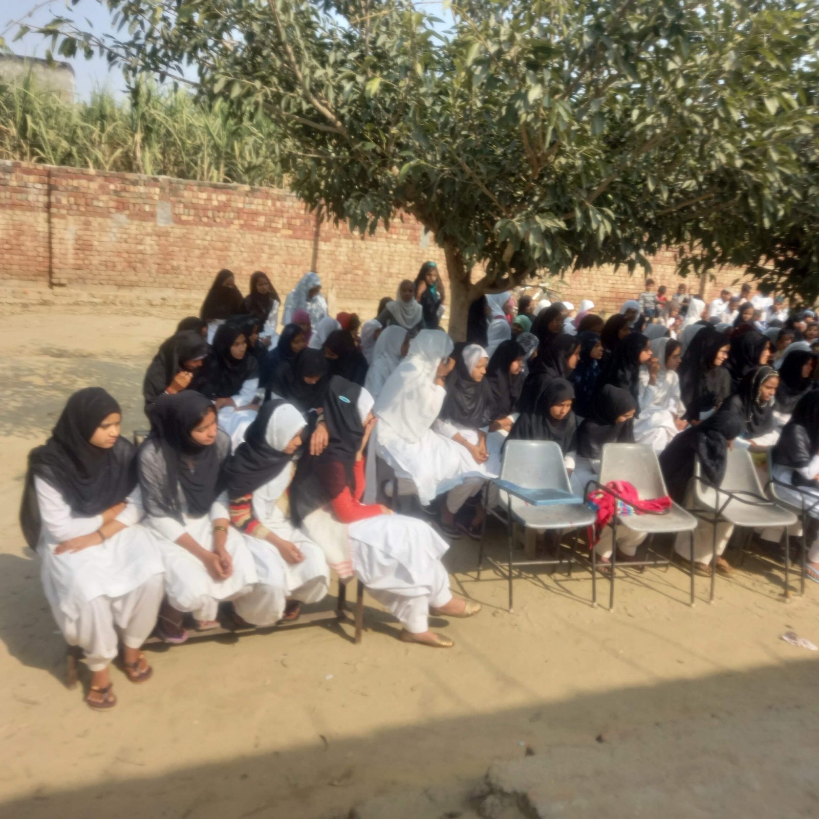 WhatsApp Image 2025-07-18 at 4.06.47 PM (2)